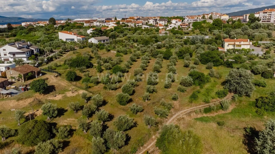 Terreno para Venda em Fundão, Valverde, Donas, A. Joanes, A. Nova Cabo Foto 8