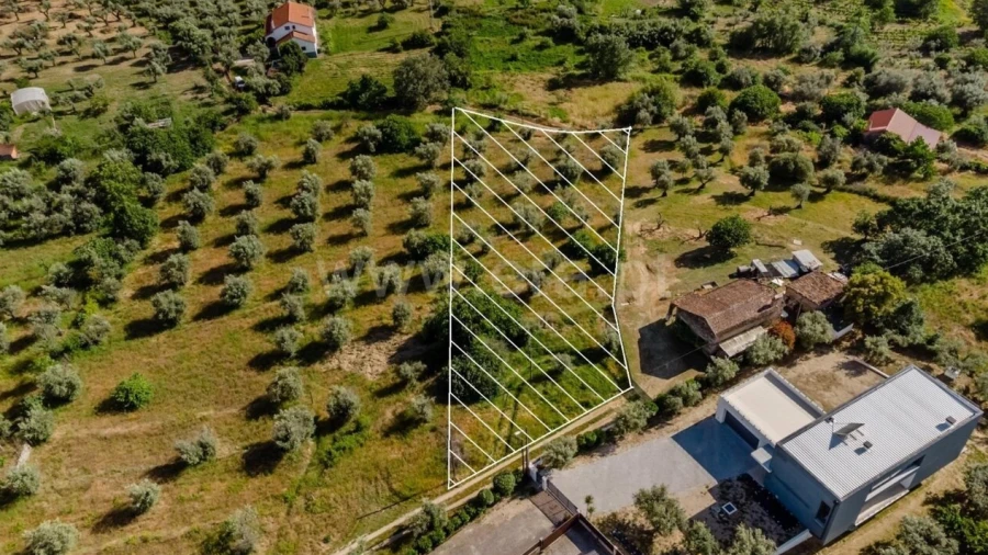 Terreno para Venda em Fundão, Valverde, Donas, A. Joanes, A. Nova Cabo