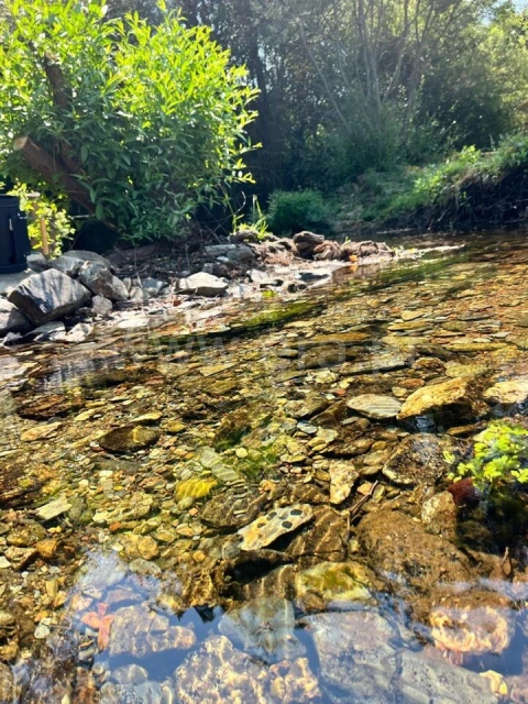 Terreno para Venda em Casegas e Ourondo