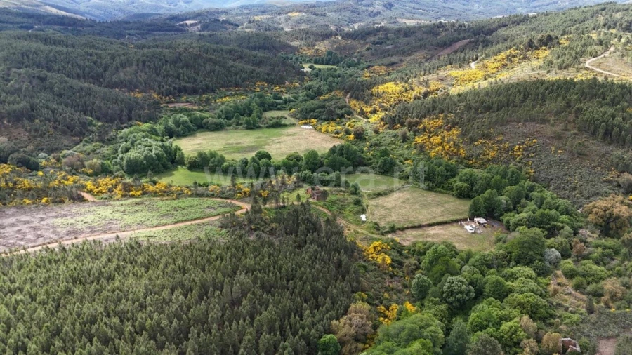 Terreno para Venda em Casegas e Ourondo Foto 8