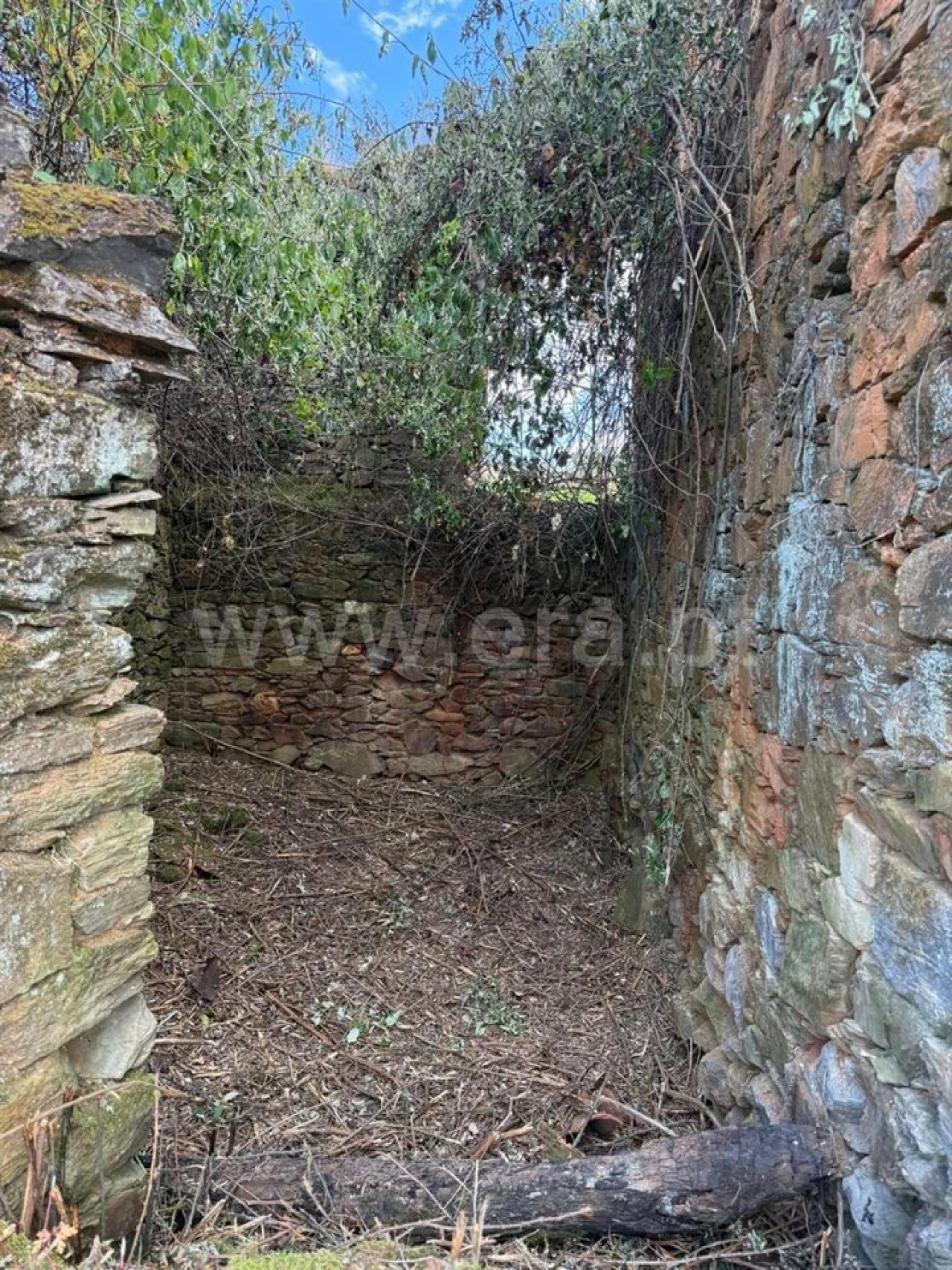 Terreno para Venda em Casegas e Ourondo Foto 2