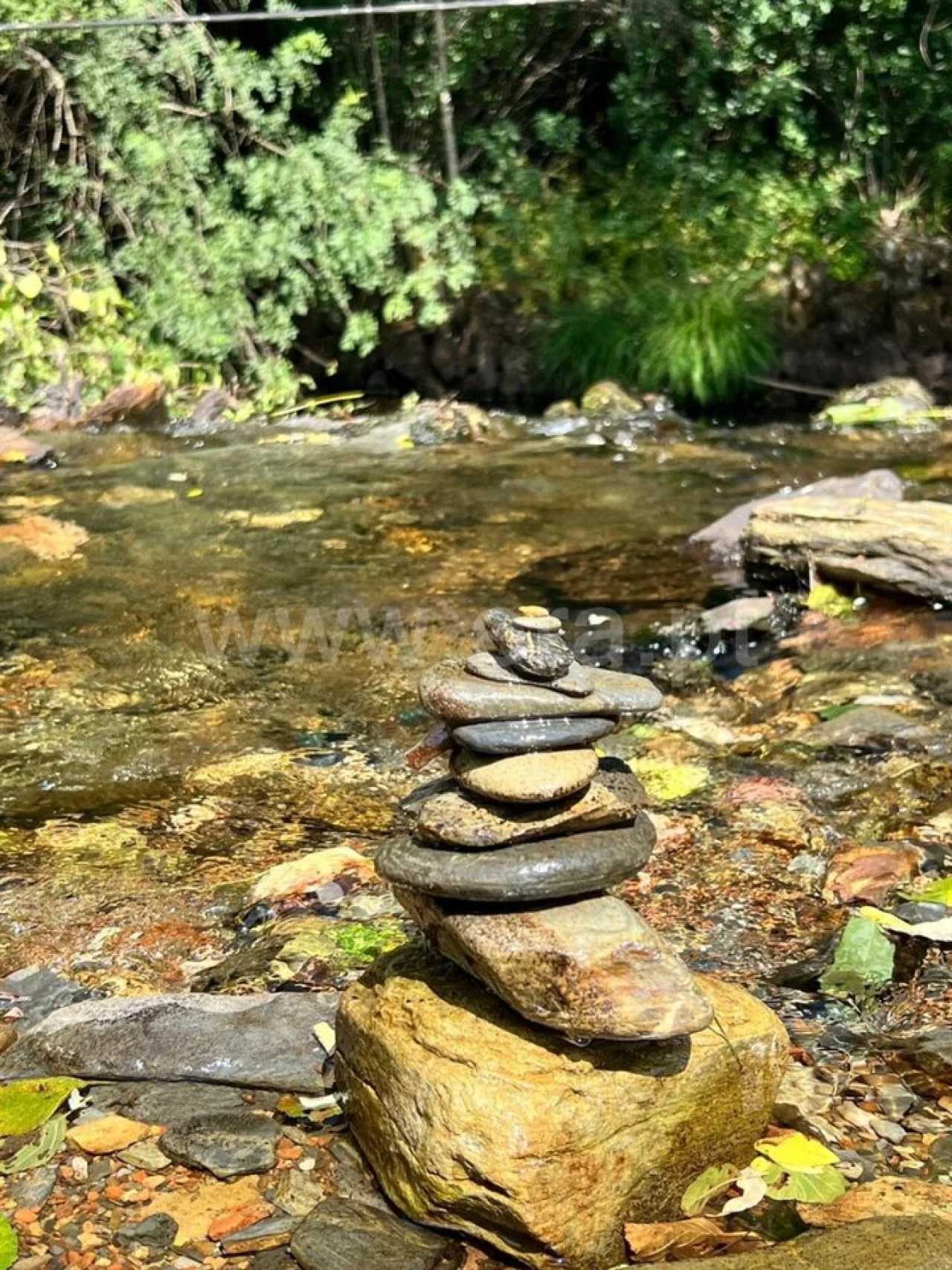 Terreno para Venda em Casegas e Ourondo Foto 3