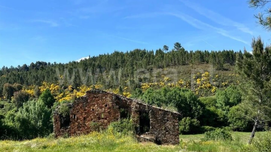 Terreno para Venda em Casegas e Ourondo