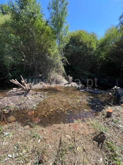 Terreno para Venda em Casegas e Ourondo