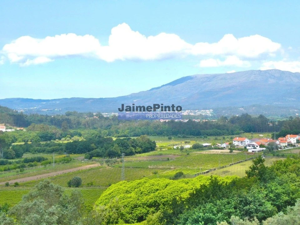 Terreno para Venda em Navió e Vitorino dos Piães Foto 4