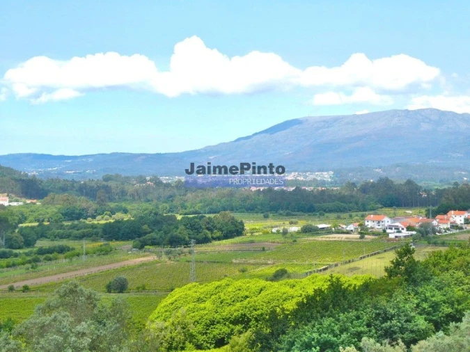 Terreno para Venda em Navió e Vitorino dos Piães Foto 4