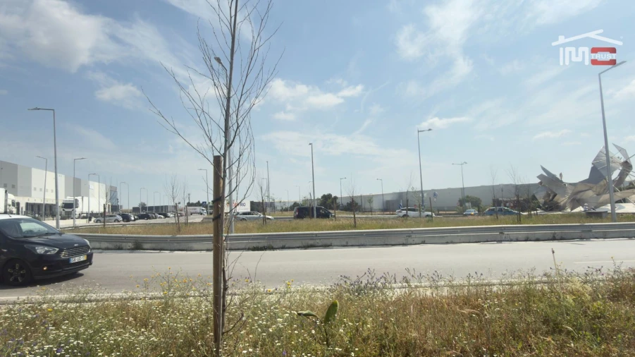 Moradia T1 para Arrendamento em Montijo e Afonsoeiro Foto 16