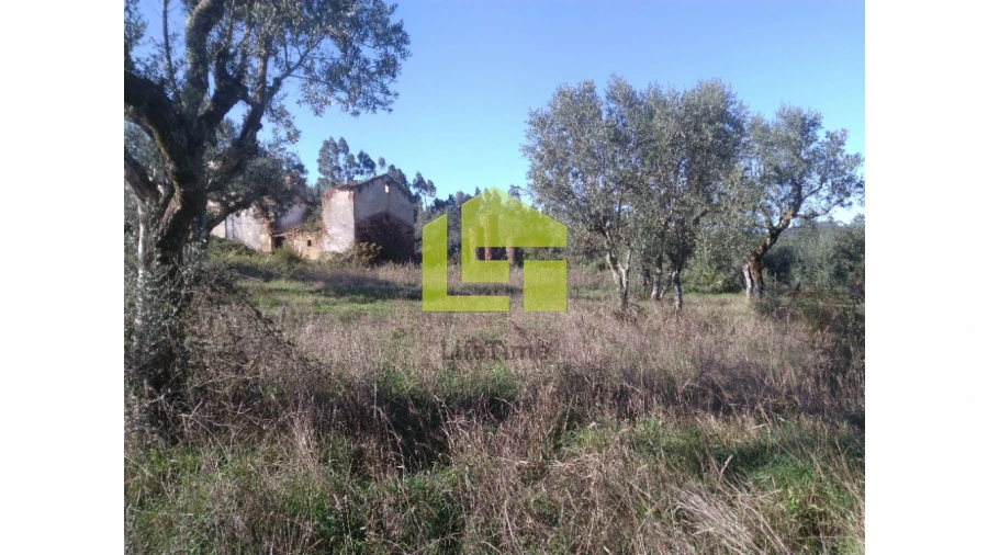 Terreno para Venda em Podentes Foto 7