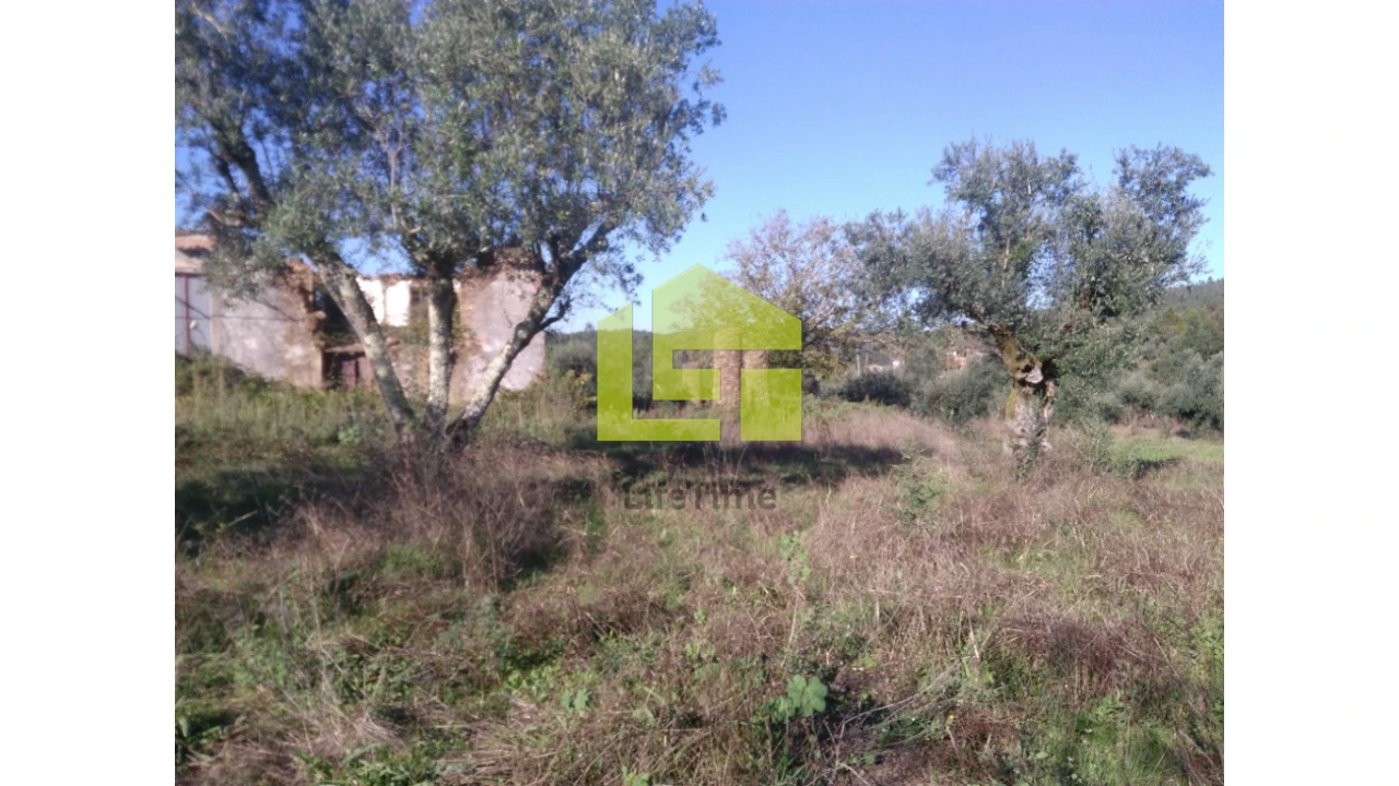 Terreno para Venda em Podentes Foto 5