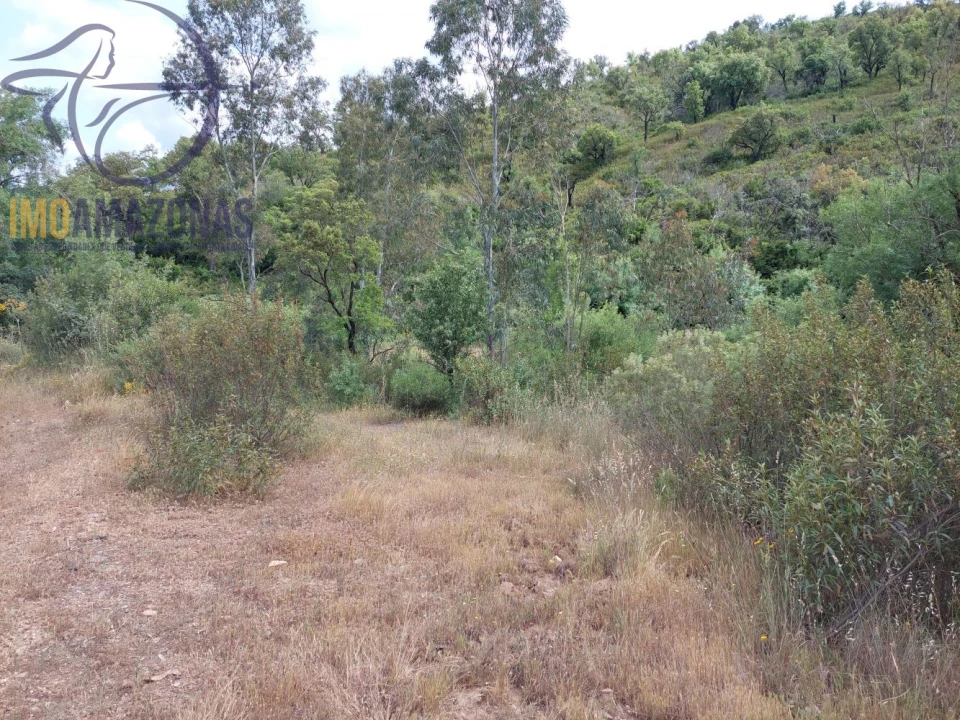 Terreno para Venda em São Marcos da Serra Foto 6