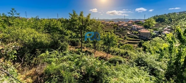 Terreno para Venda em São João de Fontoura
