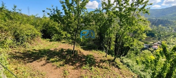 Terreno para Venda em São João de Fontoura