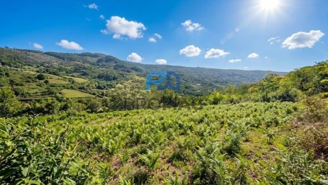 Terreno para Venda em São João de Fontoura