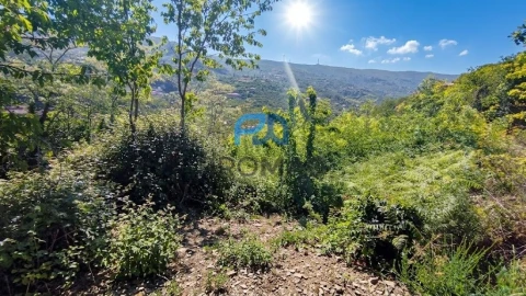 Terreno para Venda em São João de Fontoura