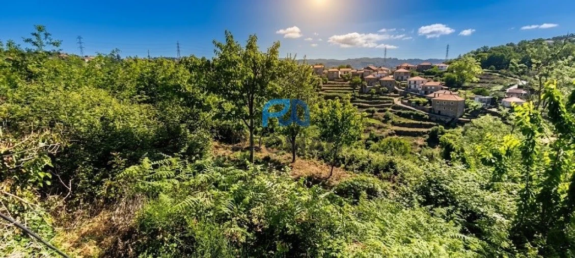 Terreno para Venda em São João de Fontoura Foto 12