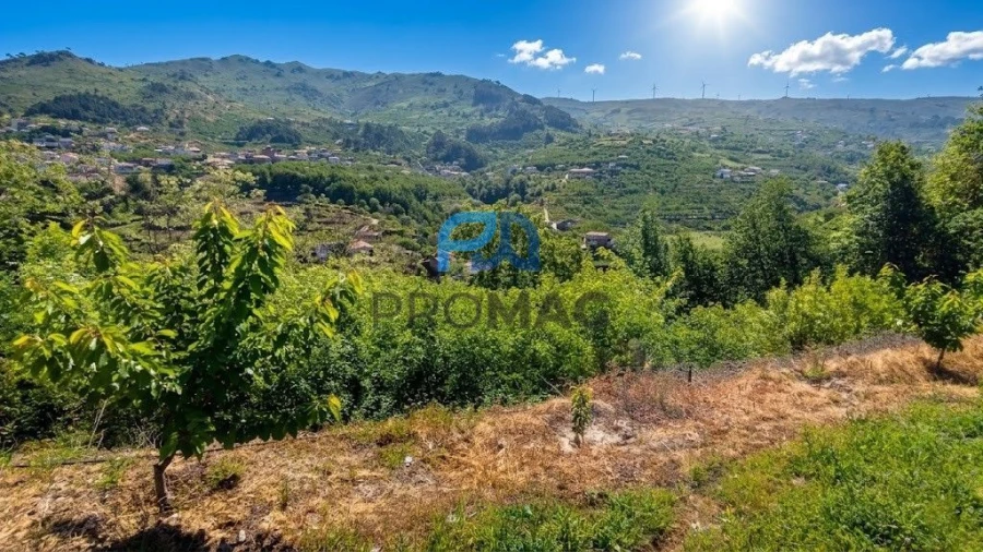 Terreno para Venda em São João de Fontoura Foto 5
