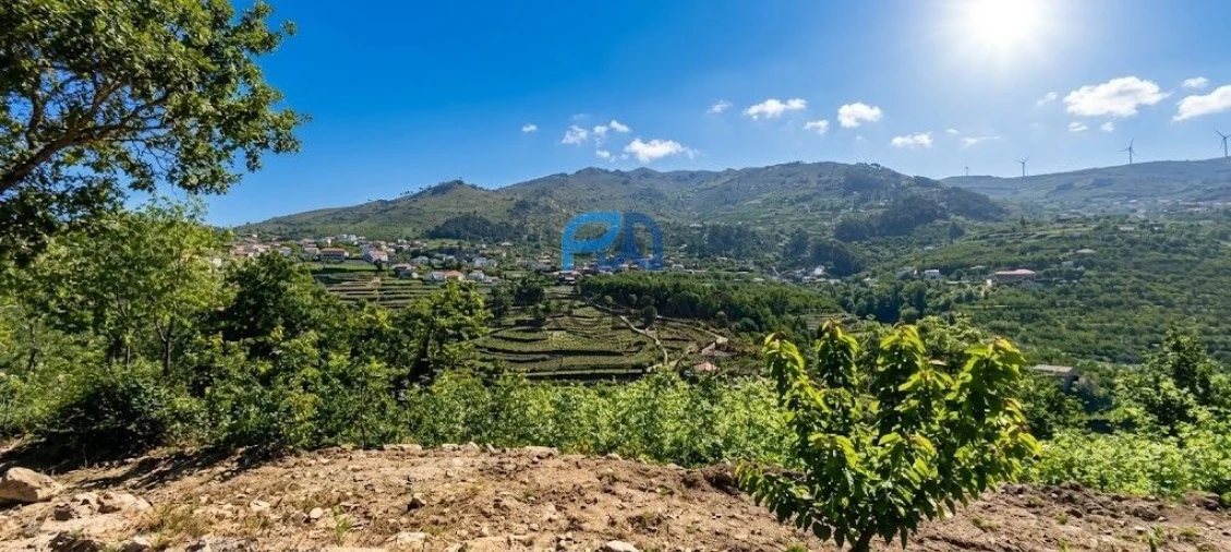 Terreno para Venda em São João de Fontoura Foto 6