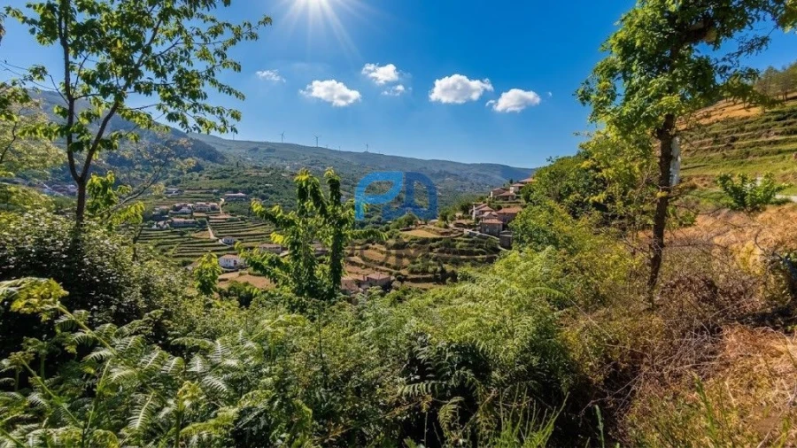 Terreno para Venda em São João de Fontoura Foto 11
