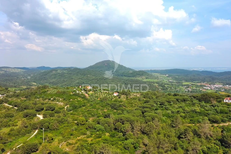 Moradia T3 para Venda em Azeitão (São Lourenço e São Simão) Foto 14