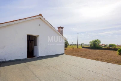 Moradia T3 para Venda em Valega