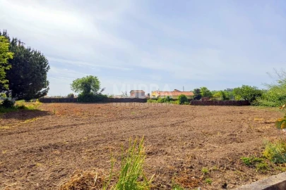 Moradia T3 para Venda em Valega