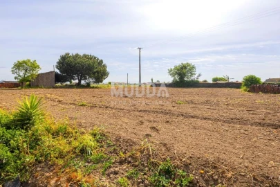 Moradia T3 para Venda em Valega