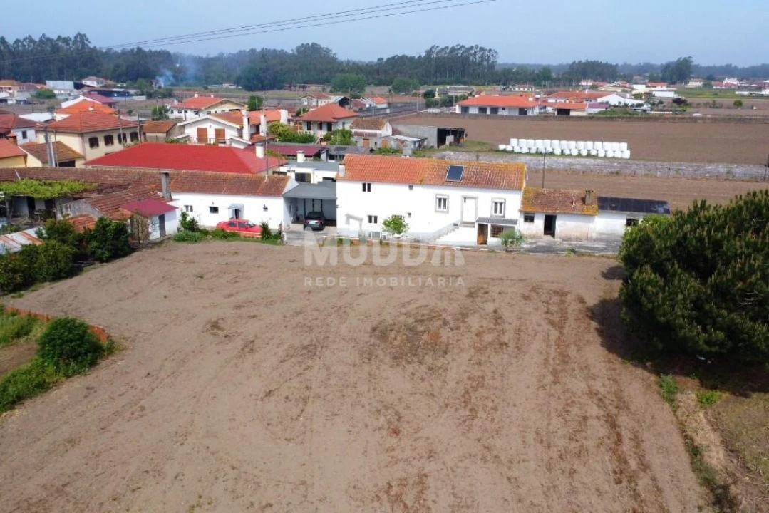 Moradia T3 para Venda em Valega Foto 49