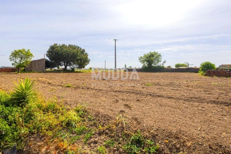 Moradia T3 para Venda em Valega Foto 27