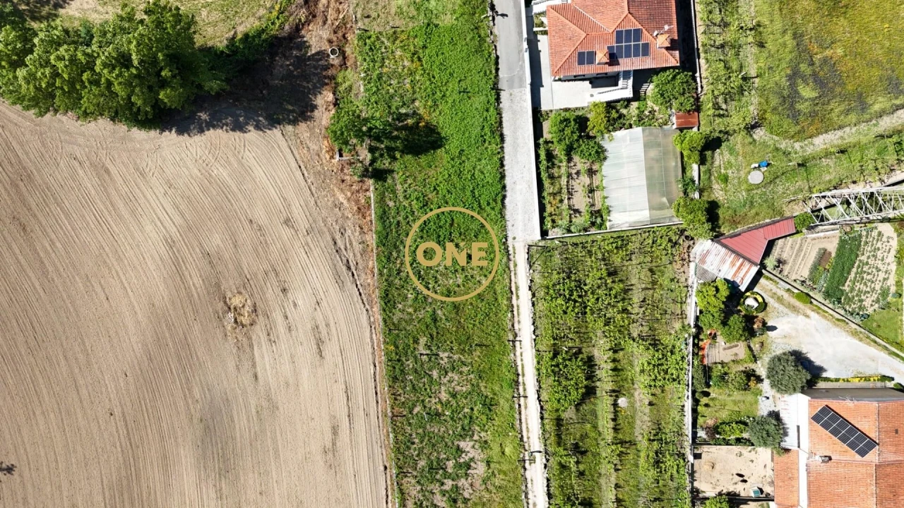 Terreno para Venda em Oliveira (Santa Maria) Foto 3
