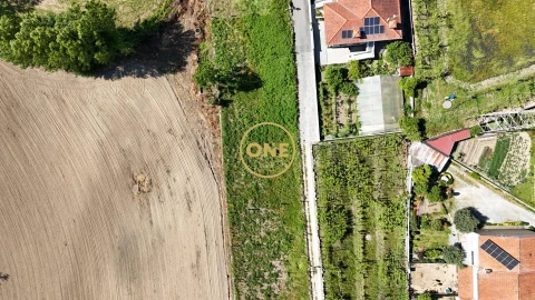Terreno para Venda em Oliveira (Santa Maria)