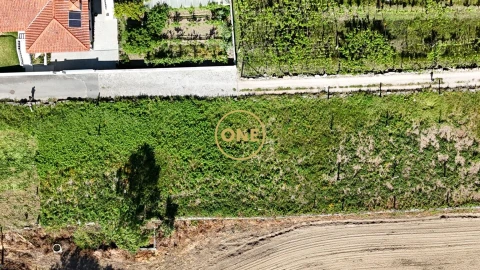 Terreno para Venda em Oliveira (Santa Maria)