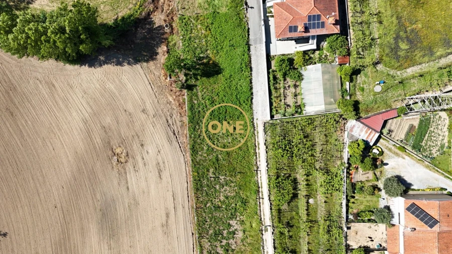 Terreno para Venda em Oliveira (Santa Maria) Foto 3