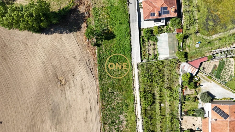 Terreno para Venda em Oliveira (Santa Maria)