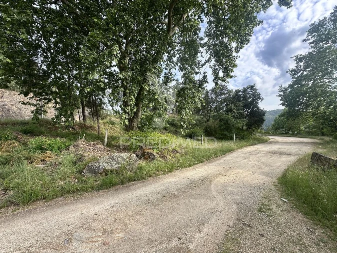 Terreno para Venda em Planalto de Monforte (Oucidres e Bobadela) Foto 5