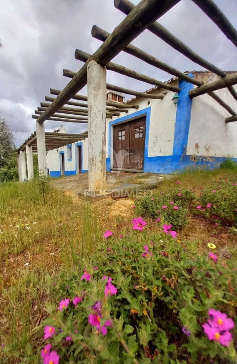 Quinta T5 para Venda em Redondo
