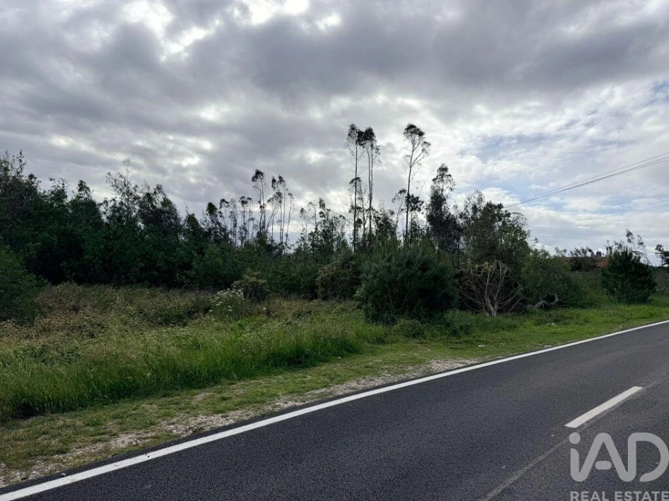 Terreno para Venda em Marinha Grande Foto 5