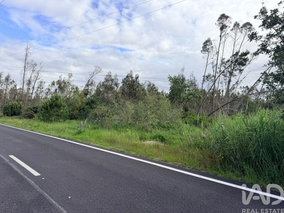Terreno para Venda em Marinha Grande Foto 1