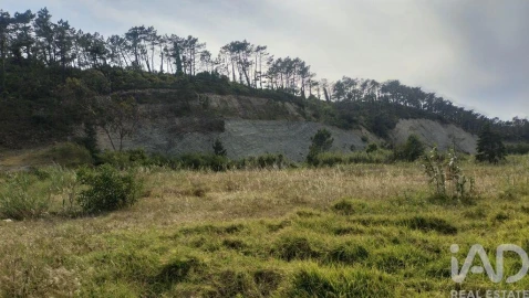 Terreno para Venda em Alhadas