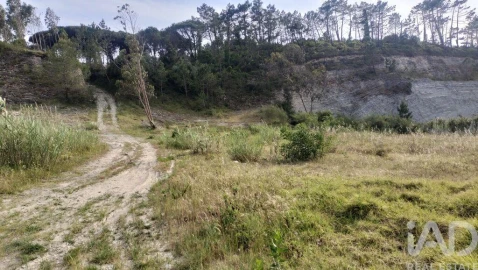 Terreno para Venda em Alhadas