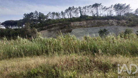 Terreno para Venda em Alhadas