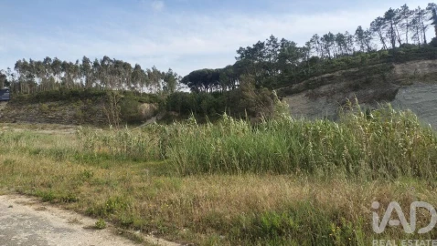 Terreno para Venda em Alhadas