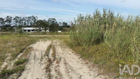Terreno para Venda em Alhadas