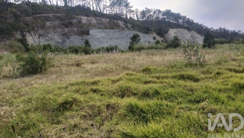 Terreno para Venda em Alhadas