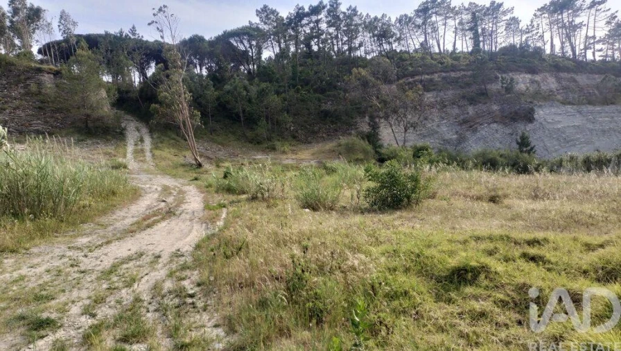 Terreno para Venda em Alhadas Foto 18