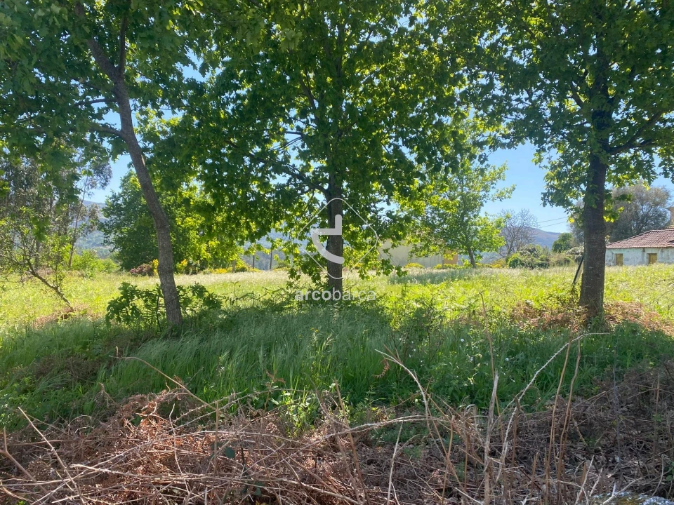 Terreno para Venda em Guilhadeses e Santar Foto 1