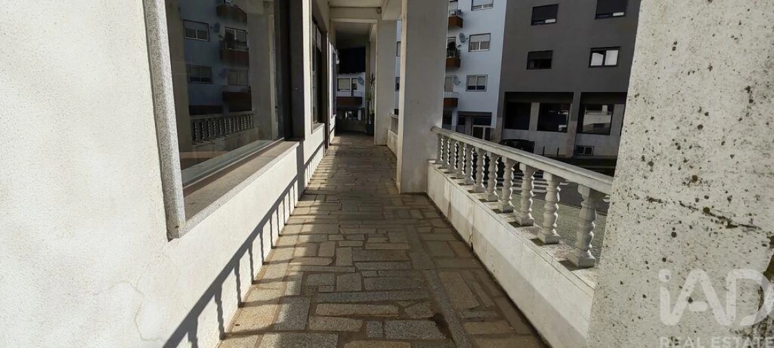 Loja para Arrendamento em Proença-A-Nova e Peral Foto 6