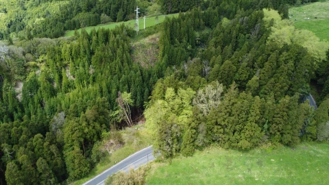 Terreno para Venda em Ponta Garça