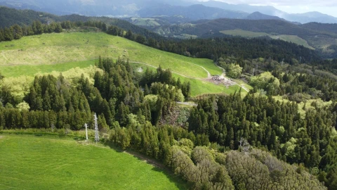 Terreno para Venda em Ponta Garça