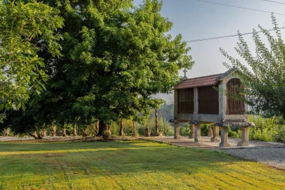 Quinta T11 para Venda em Longos Vales