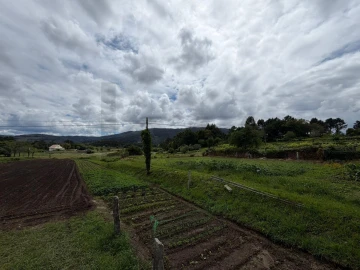 Terreno para Venda em Riba de Ancora